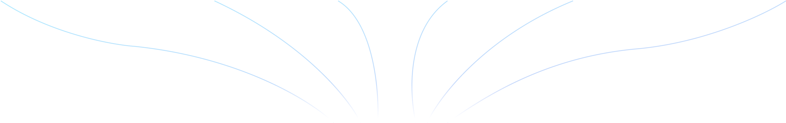 lines